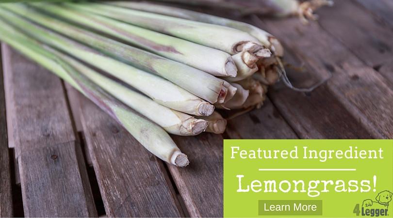 Lemongrass essential clearance oil and dogs