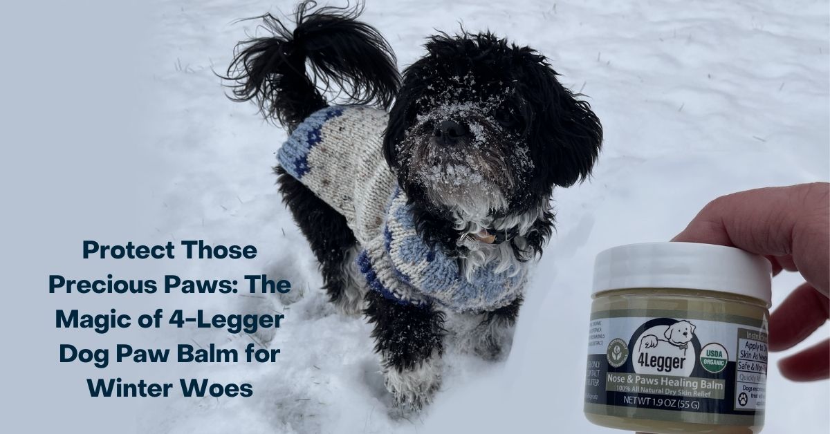 Best Dog Paw Balm Reviews, Healing and Protective Waxes