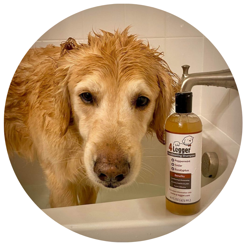 Natural flea shop bath for puppies