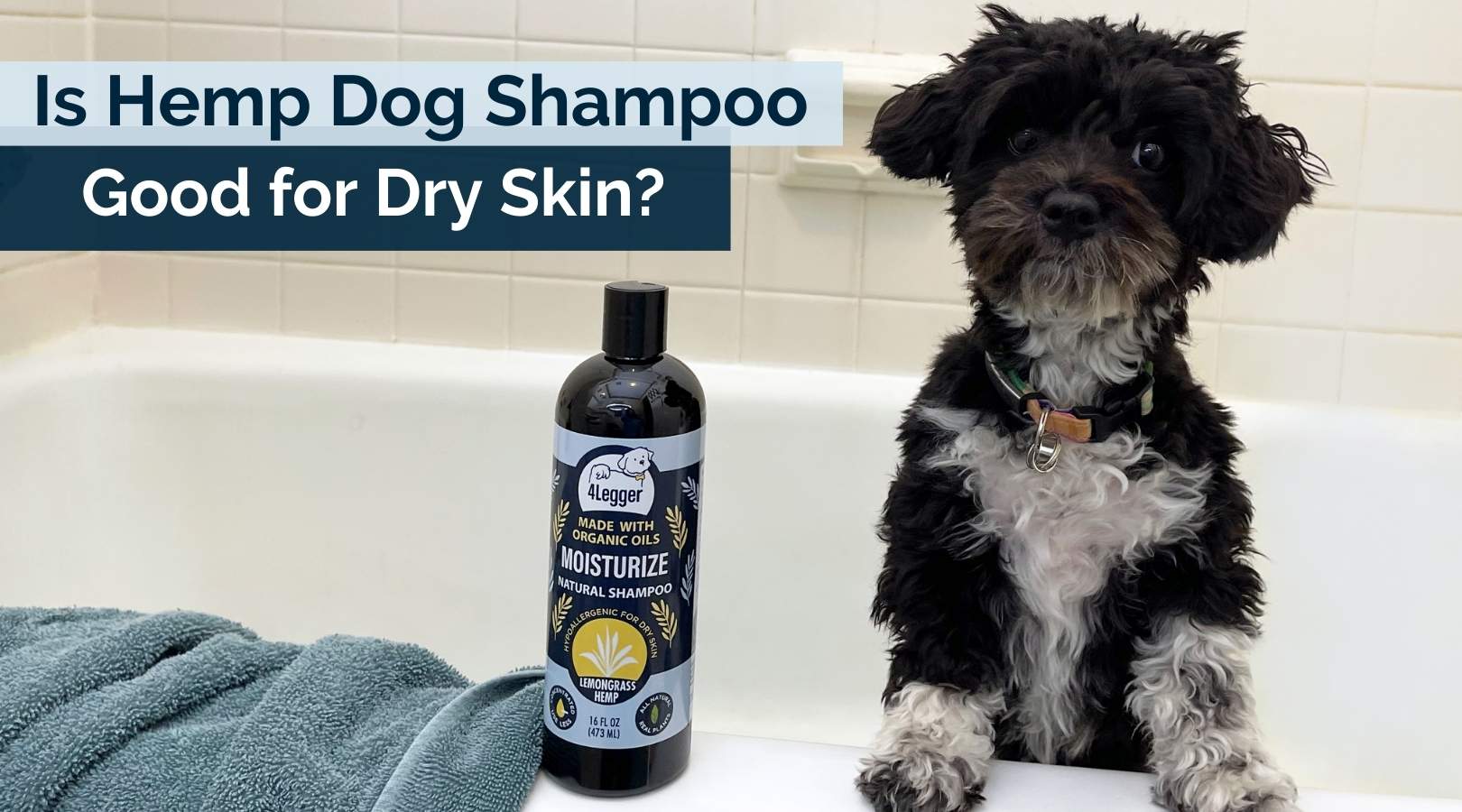 Good dog shampoo for dry skin sale