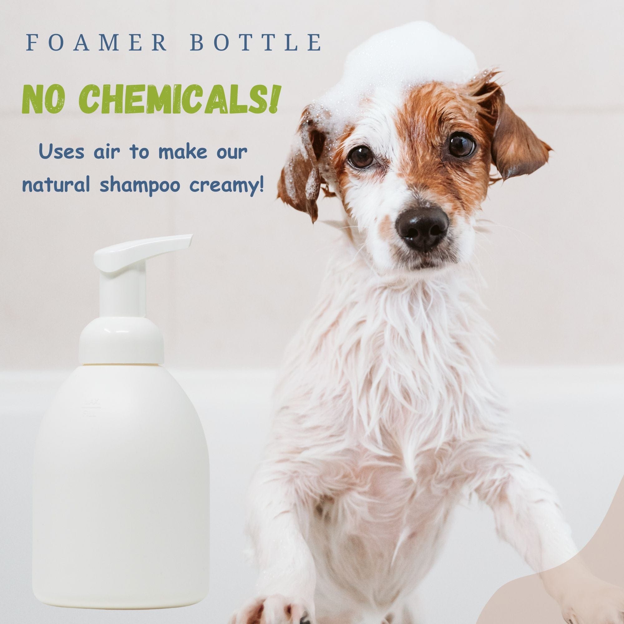 Soothing store dog shampoo