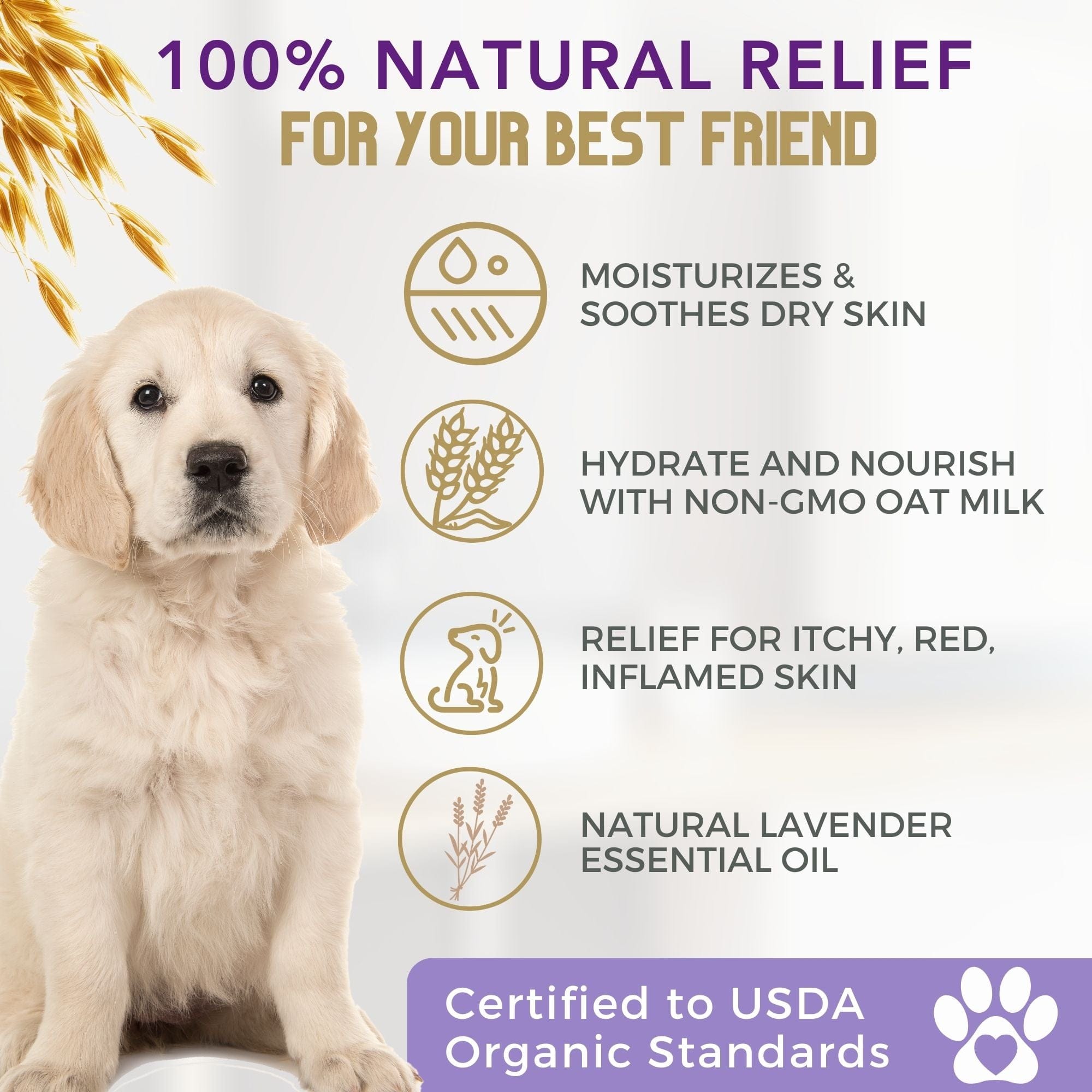 4 Legger Organic Oatmeal Dog Shampoo with Lavender for Itchy Skin