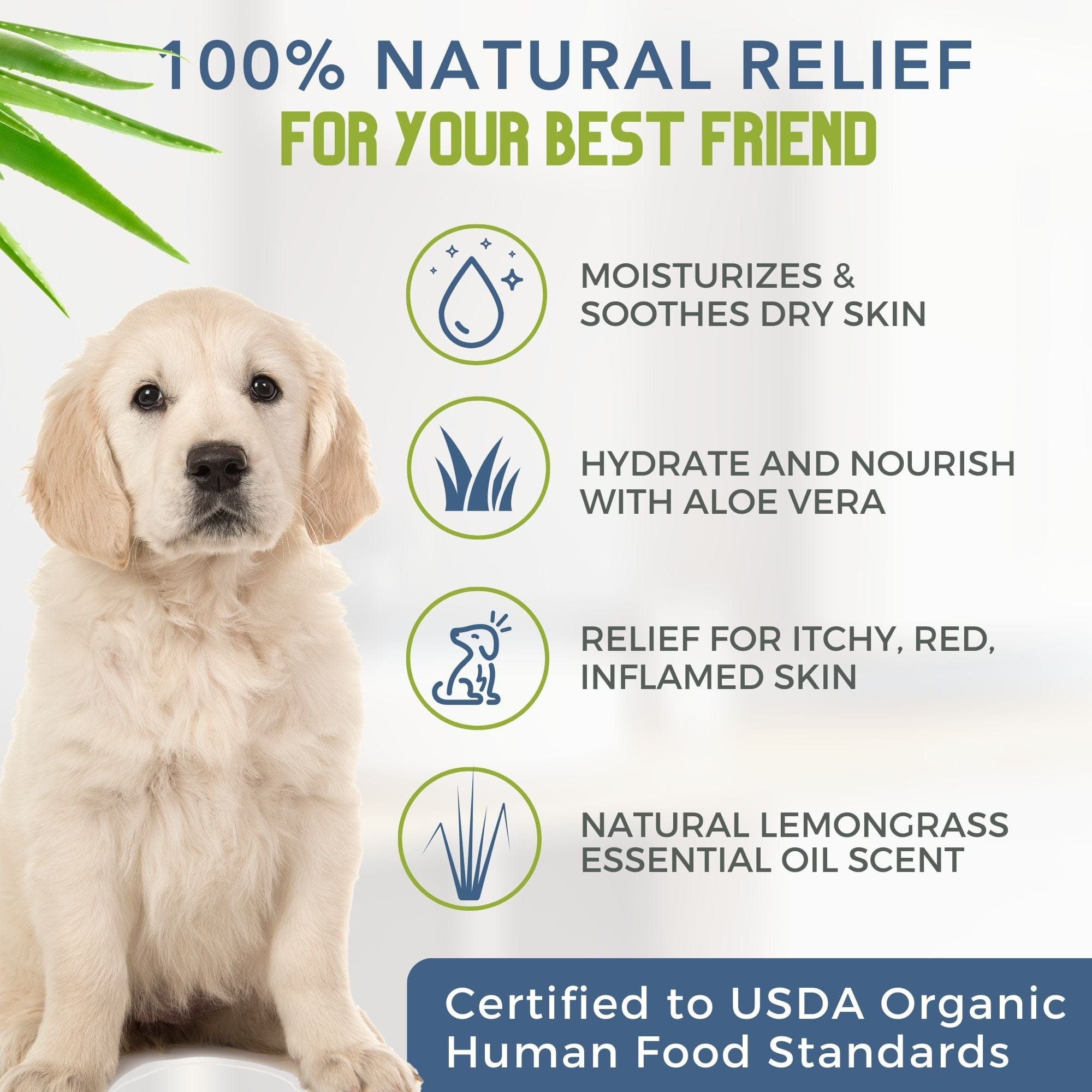 4 Legger Hypoallergenic Dog Shampoo with Organic Lemongrass 16 oz Bottle