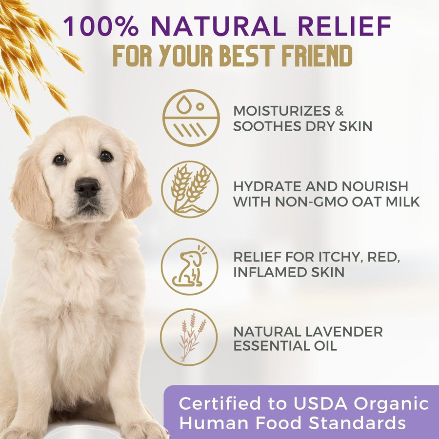 4-Legger Organic Oatmeal Dog Shampoo with Lavender for Itchy Skin