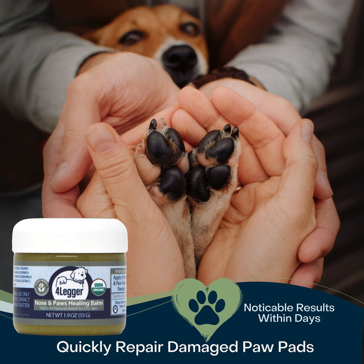 4-Legger healing paw balm all natural organic | paw wax mushers secret with vegan plant wax