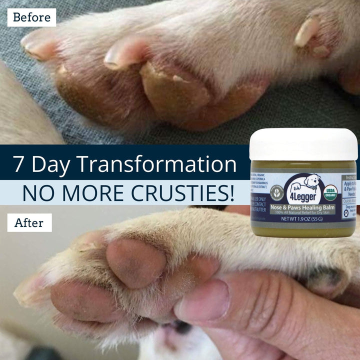 Best Paw Balm for Dog | dog lotion | dog moisturizer for dry skin