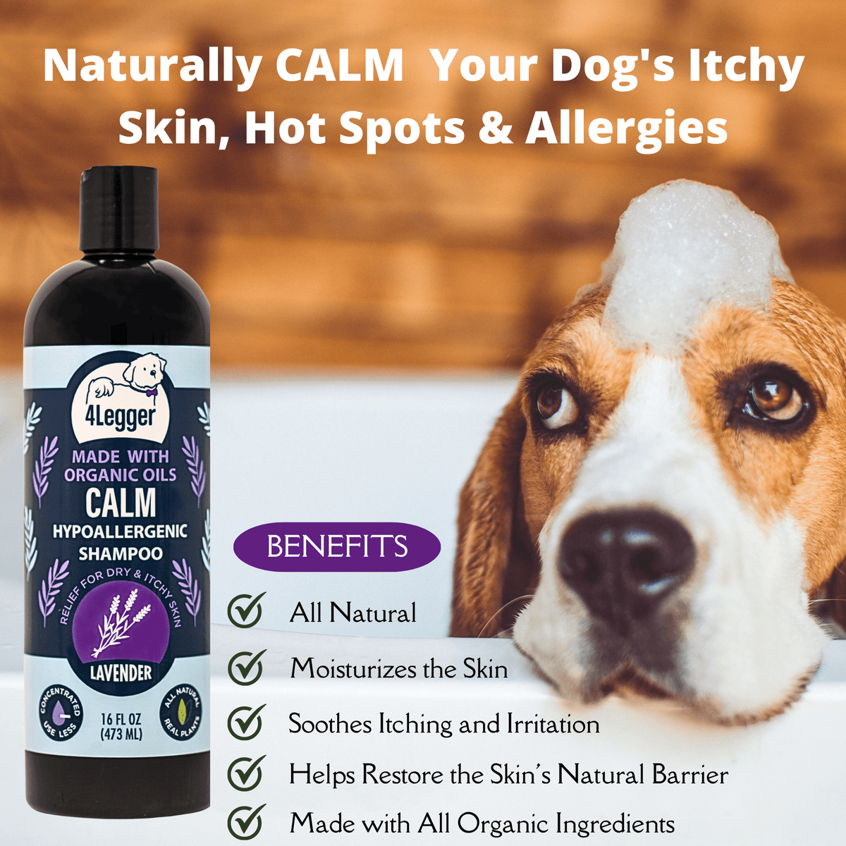 what helps dogs with dry itchy skin