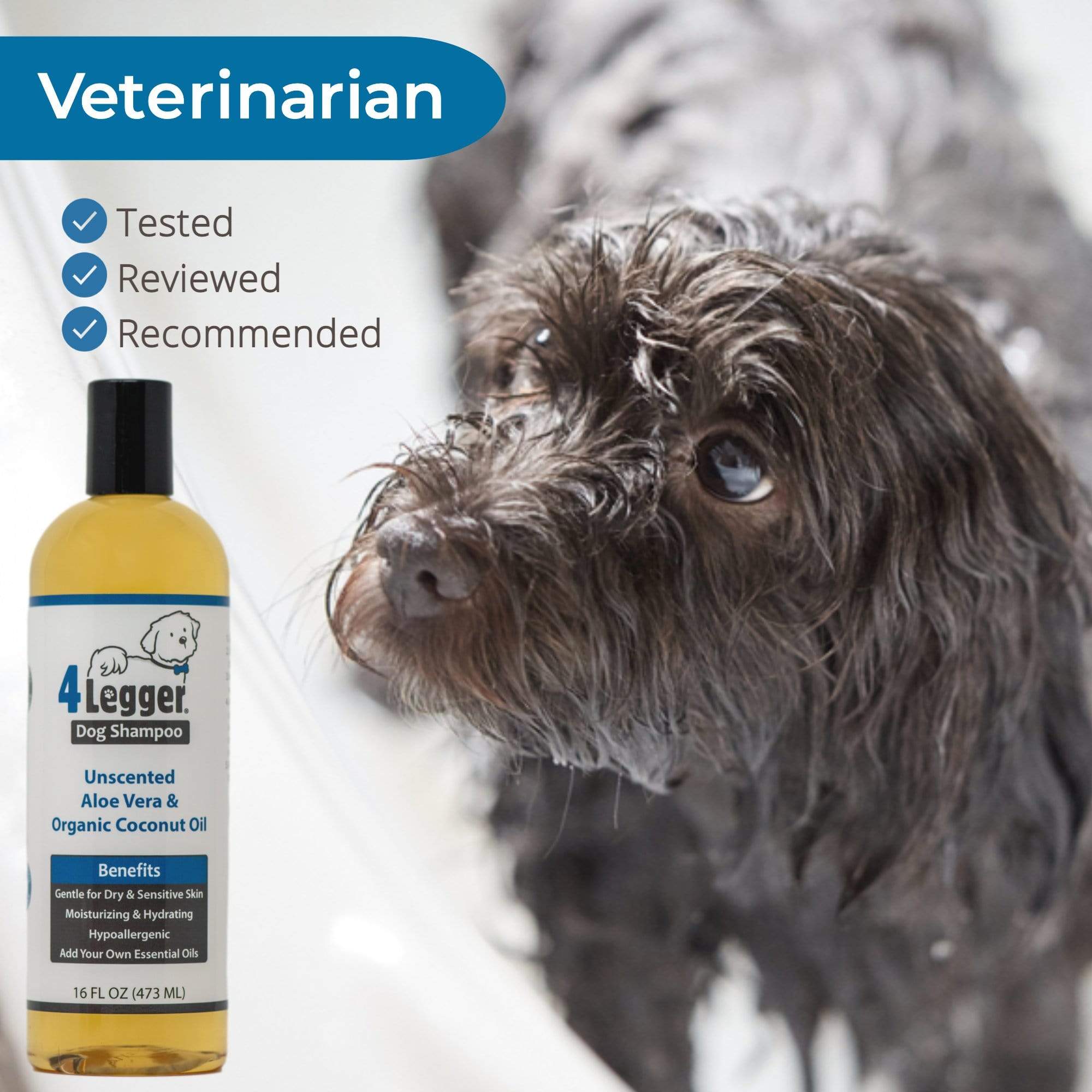 Natural shampoo for dogs with best sale skin allergies