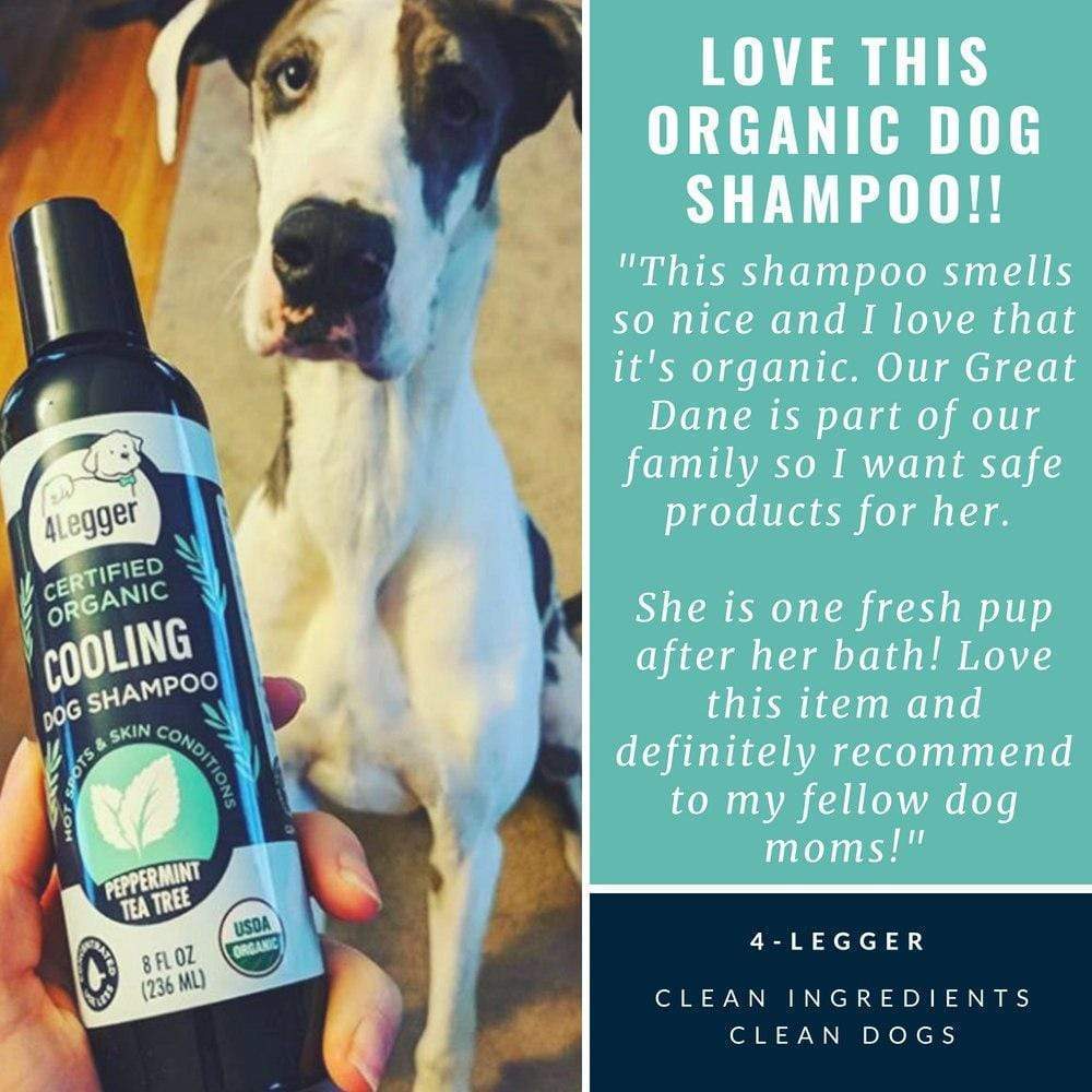 Tea tree shampoo safe clearance for dogs